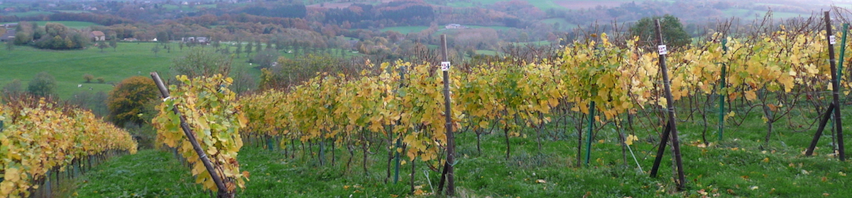 Wines in Belgium