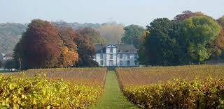 vignoble et vue chateau automne